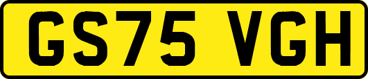 GS75VGH