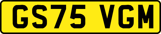 GS75VGM