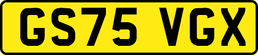 GS75VGX