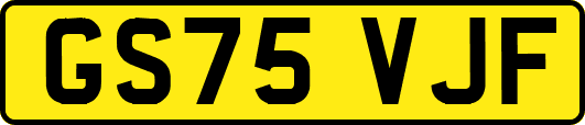GS75VJF