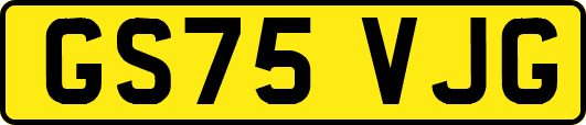 GS75VJG