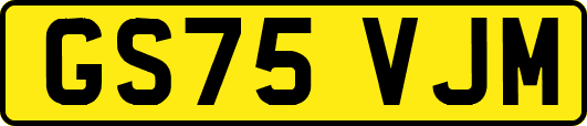 GS75VJM
