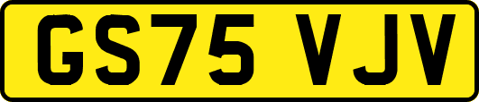 GS75VJV