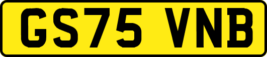 GS75VNB