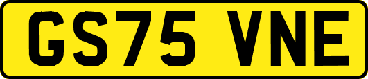 GS75VNE