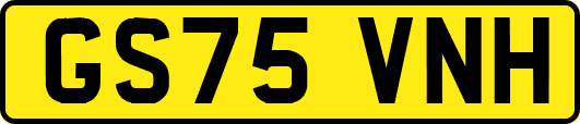GS75VNH