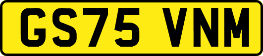 GS75VNM