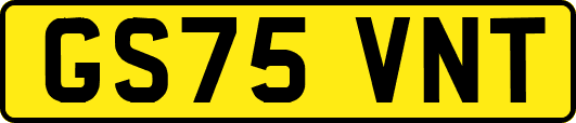 GS75VNT