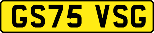 GS75VSG