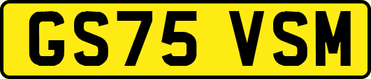 GS75VSM