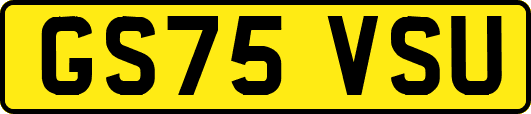 GS75VSU
