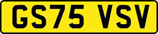 GS75VSV