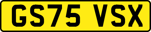 GS75VSX