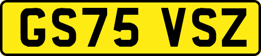 GS75VSZ