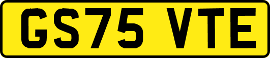 GS75VTE