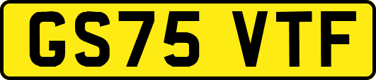 GS75VTF
