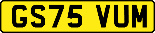 GS75VUM