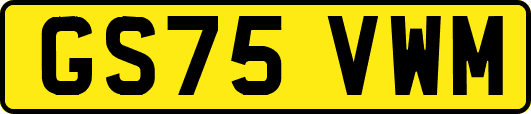 GS75VWM
