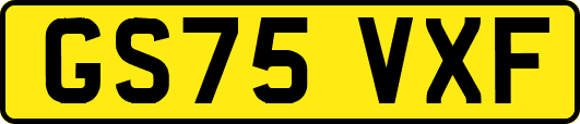 GS75VXF