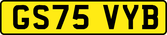 GS75VYB