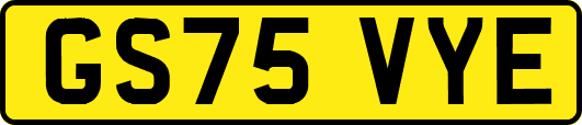 GS75VYE