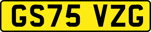 GS75VZG
