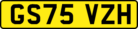 GS75VZH