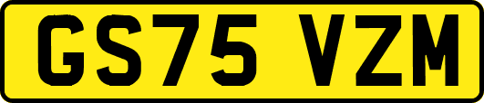 GS75VZM