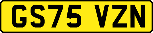 GS75VZN