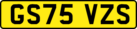 GS75VZS