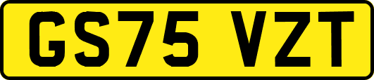 GS75VZT