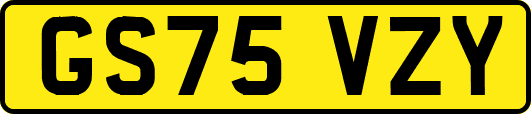 GS75VZY