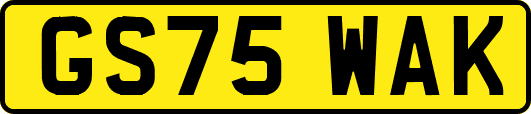 GS75WAK
