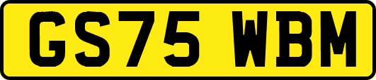 GS75WBM