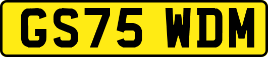 GS75WDM
