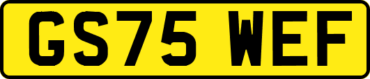 GS75WEF