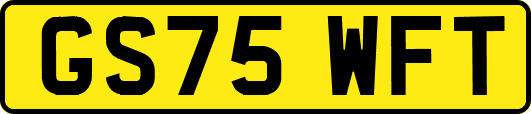 GS75WFT