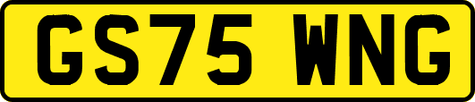 GS75WNG