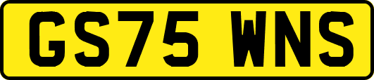 GS75WNS