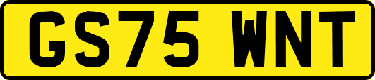 GS75WNT