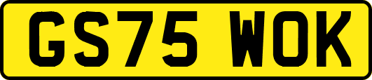 GS75WOK