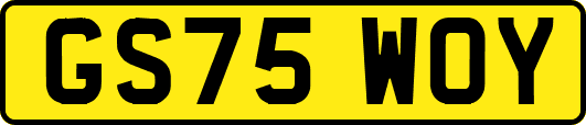 GS75WOY