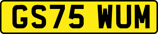 GS75WUM