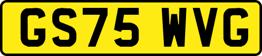 GS75WVG