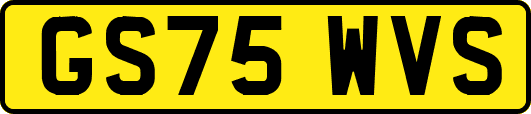 GS75WVS