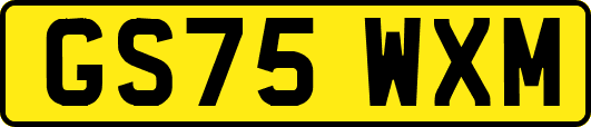 GS75WXM