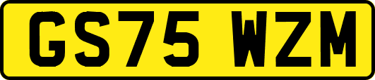 GS75WZM