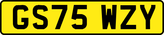 GS75WZY