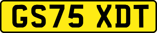 GS75XDT