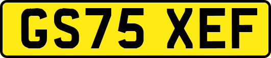 GS75XEF